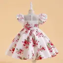 Image_5.webp
