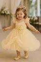20250513_1655_Princess Dress Twirl_remix_01jv6141mnepatxqrh6t7qh0m5.webp