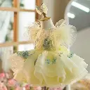 Yellow2.webp