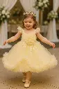 Stunning Tutu Heaven Dress