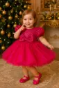 Powdered Tutu puffy Sleeves Dress