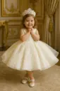 Elegant Embroided Party Dress