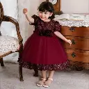 Stunning Night Queen dress