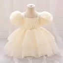 Layered Classic Romantic tutu Dress