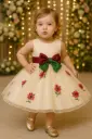Puffy Tulle Party Gown