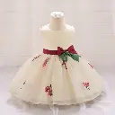 Puffy Tulle Party Gown