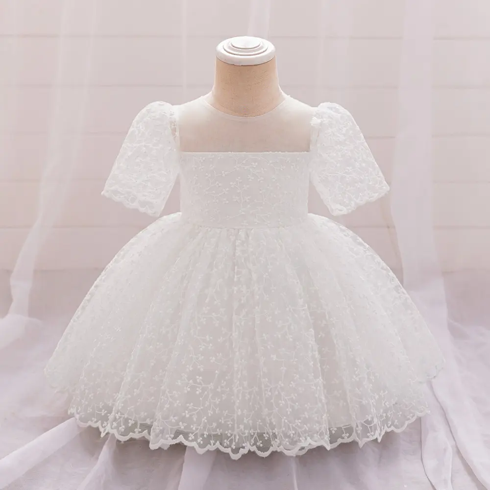 Chikan Embroidery Dress