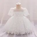 Chikan Embroidery Dress