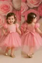 Rose Red Baby Girl Princess Dress